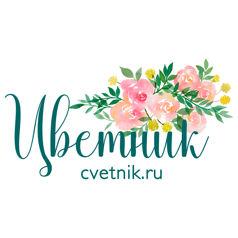 Сеть цветочных магазинов «Цветник»