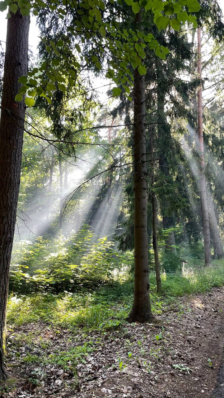 Новоорловский заказник