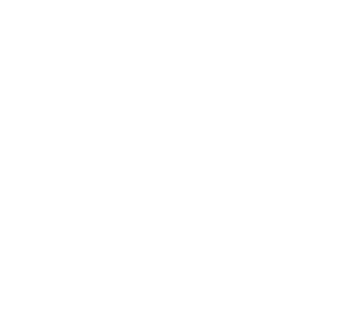 Visa Support