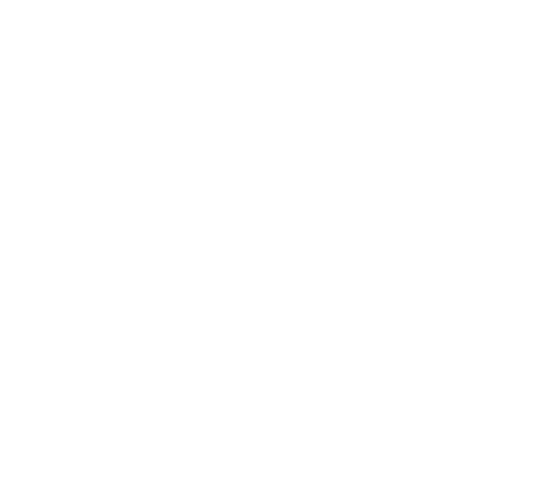 Car and bicycle rental