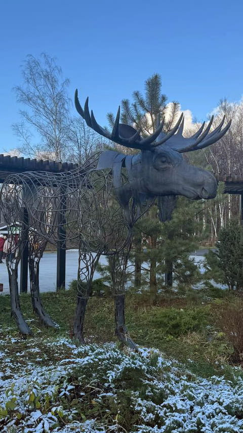 Парк «Лосиный остров»: экотропы, природа и прогулки в черте ...