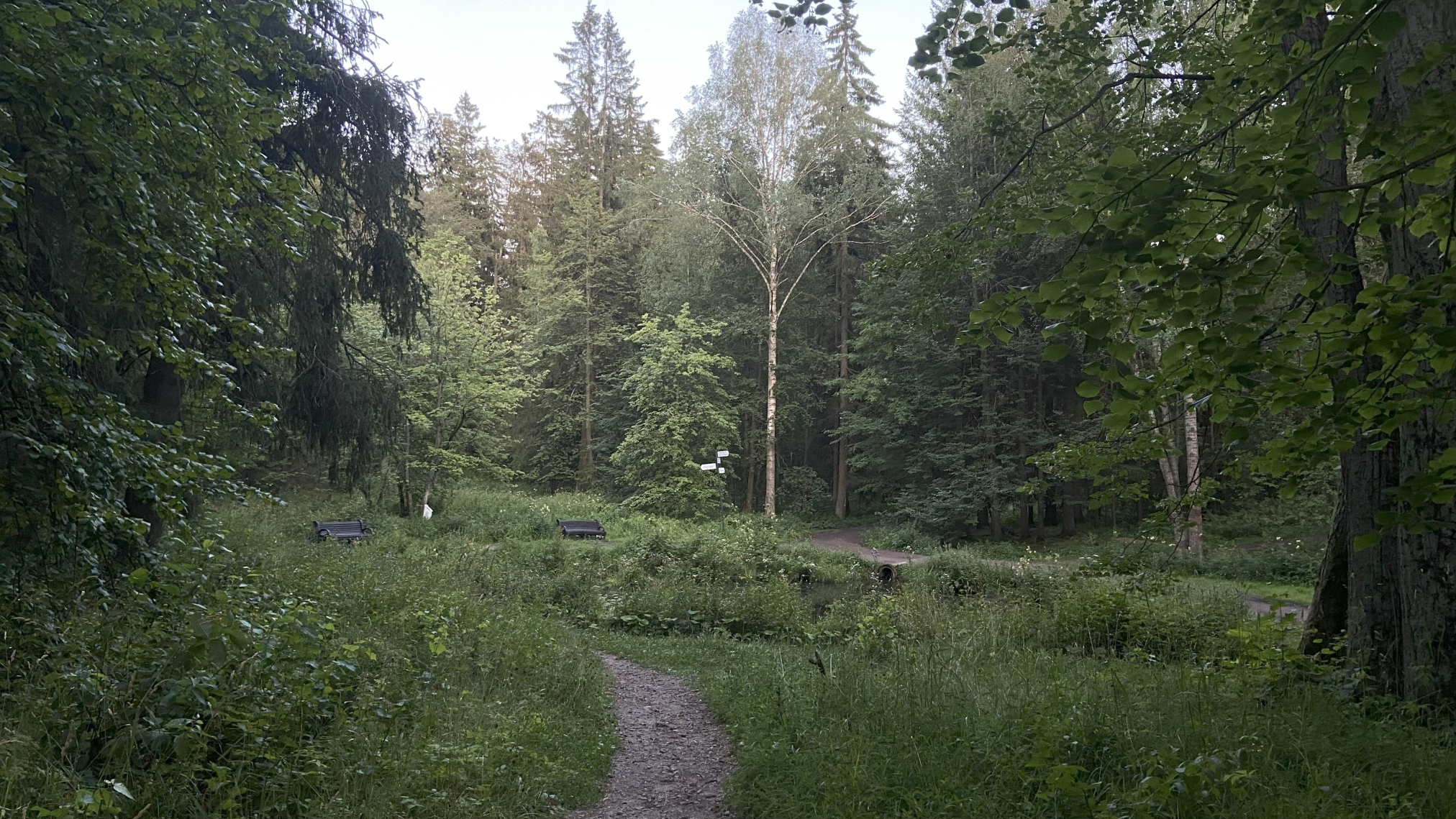 Митинский лесопарк