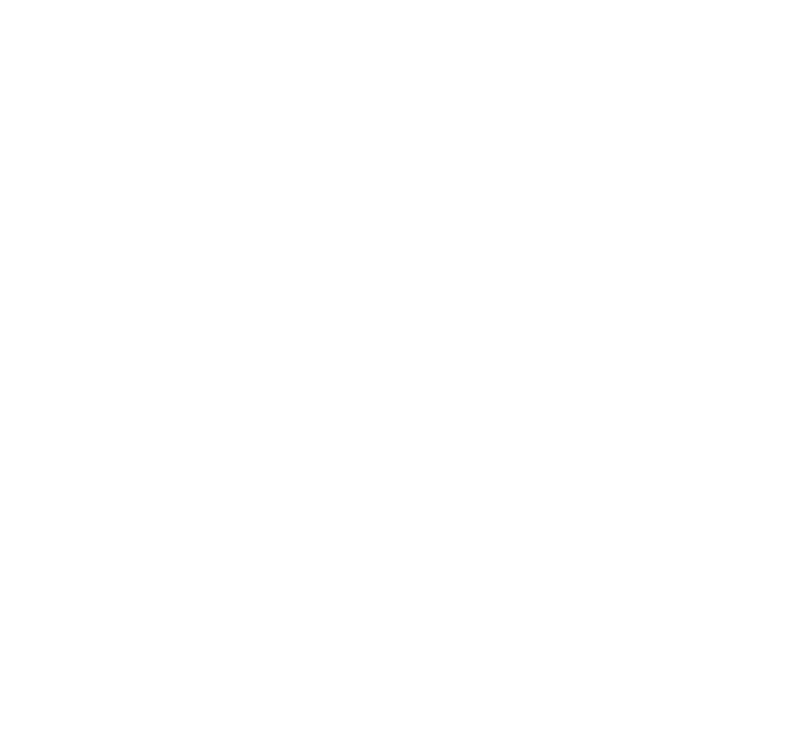 High speed internet access (Wi-Fi in each suite)