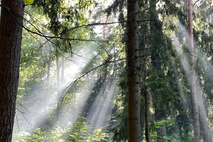 Новоорловский заказник