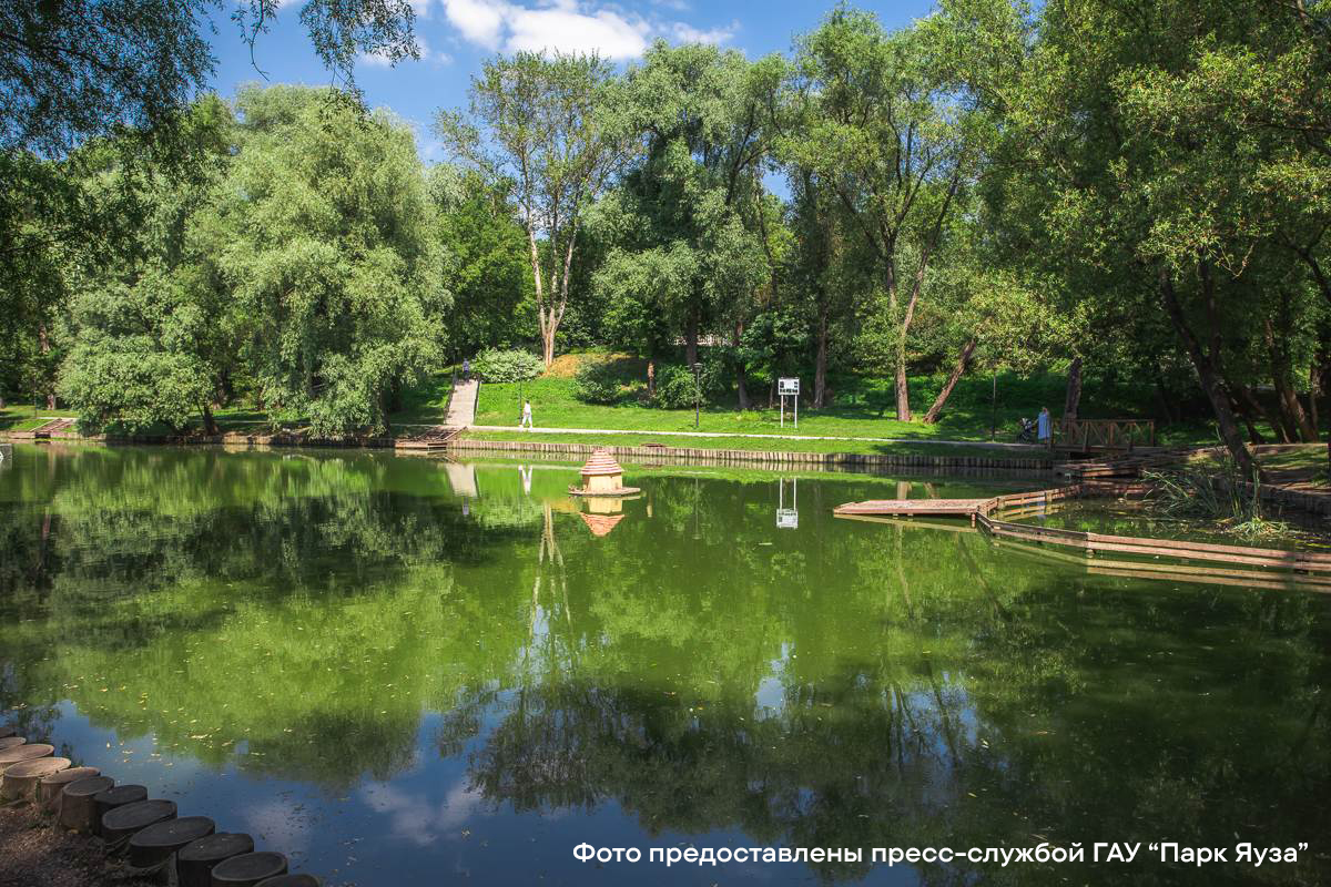 Парк «Сад будущего» в Москве: отдых для всей семьи
