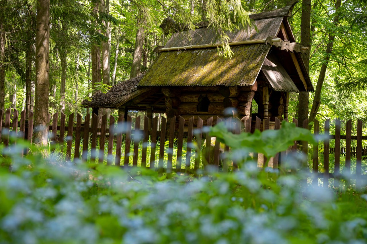 избушка.jpg избушка.jpg