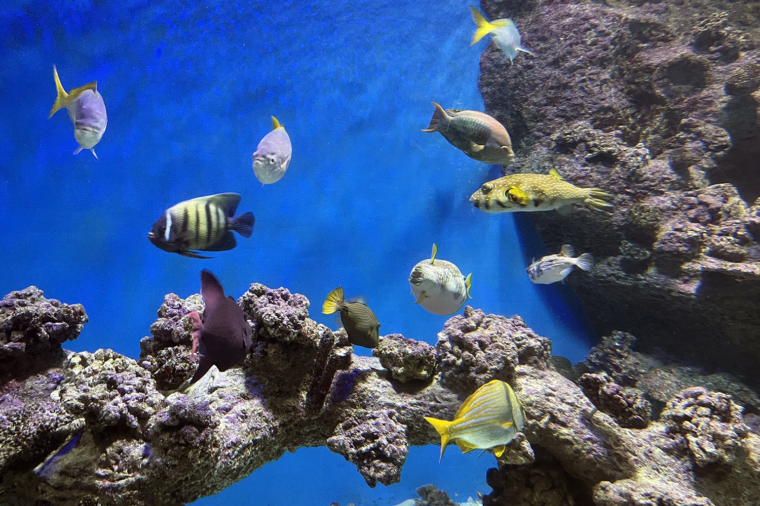IMG_1102.jpg IMG_1102.jpg