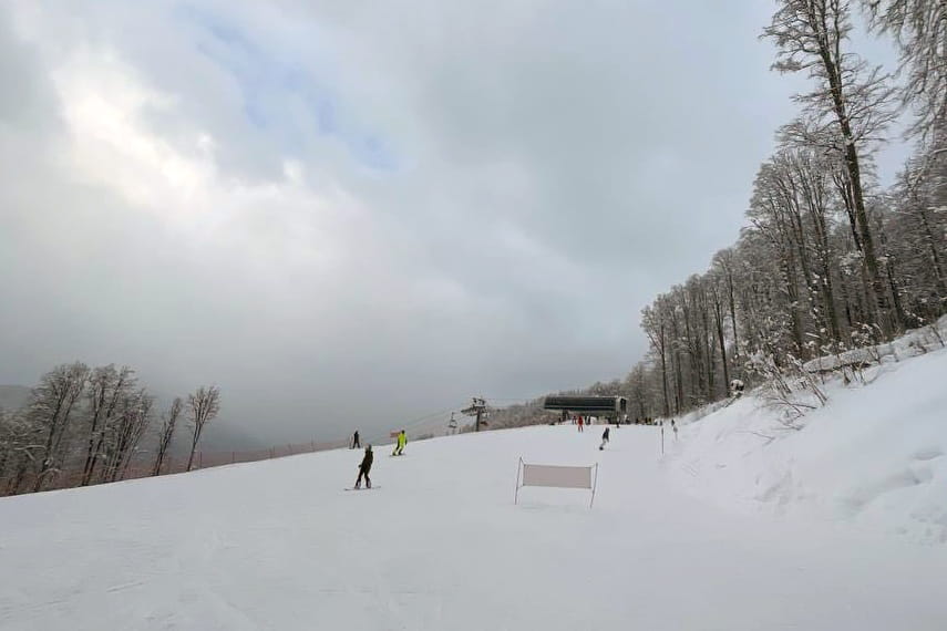 photo_5425038479835467528_y.jpg photo_5425038479835467528_y.jpg