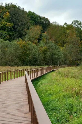 preview_Митинский лесопарк