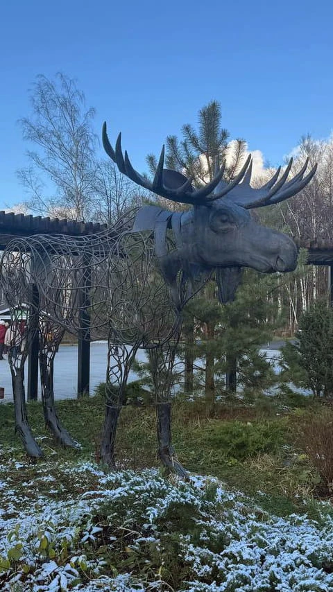 preview_Парк «Лосиный остров»: экотропы, природа и прогулки в черте Москвы