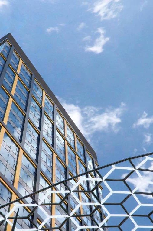 preview_Итоги года YES: рост и достижения